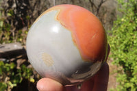 Polished Polychrome Jasper Spheres x 2 From Mahajanga, Madagascar