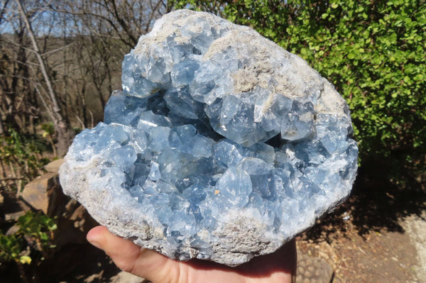 Natural Celestite Cluster x 1 From Sakoany, Madagascar