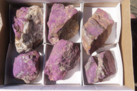 Natural Metallic Purpurite Cobbed Specimens x 6 From Erongo, Namibia