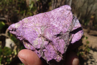 Natural Metallic Purpurite Cobbed Specimens x 6 From Erongo, Namibia