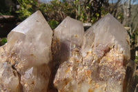 Polished Red Hematoid Quartz Cluster X 1 From Karoi, Zimbabwe