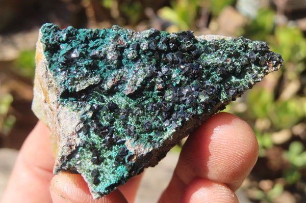 Natural Libethenite Crystals On Dolomite Matrix Specimens x 13 From Shituru, Congo