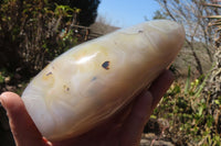 Polished Dendritic Agate Standing Free Form x 1 From Madagascar