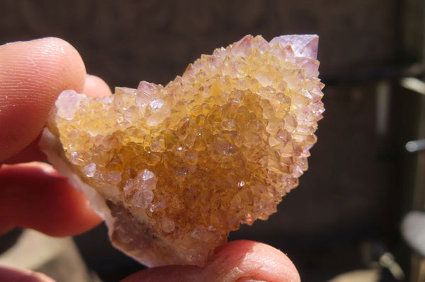 Natural Ametrine Spirit Quartz Clusters x 12 From Boekenhouthoek, South Africa