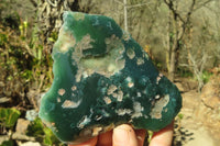 Polished On One Side Mtorolite Specimens x 6 From Zimbabwe