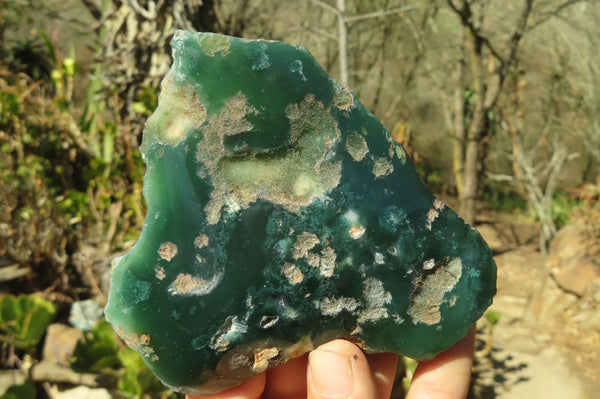 Polished On One Side Mtorolite Specimens x 6 From Zimbabwe