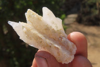 Natural Drusy Quartz Coated Calcite Pseudomorph Specimens x 35 From Alberts Mountain, Lesotho