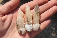 Natural Drusy Quartz Coated Calcite Pseudomorph Specimens x 35 From Alberts Mountain, Lesotho