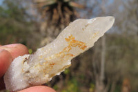 Natural Drusy Quartz Coated Calcite Pseudomorph Specimens x 35 From Alberts Mountain, Lesotho