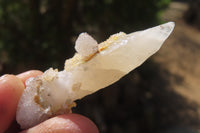 Natural Drusy Quartz Coated Calcite Pseudomorph Specimens x 35 From Alberts Mountain, Lesotho