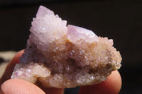 Natural Amethyst / Ametrine Spirit Quartz Single Crystals x 20 From Boekenhouthoek, South Africa