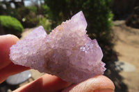 Natural Amethyst / Ametrine Spirit Quartz Single Crystals x 20 From Boekenhouthoek, South Africa