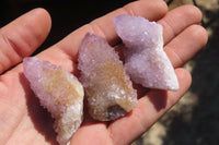 Natural Amethyst / Ametrine Spirit Quartz Single Crystals x 20 From Boekenhouthoek, South Africa