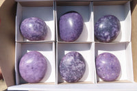 Polished Lepidolite Galet / Palm Stones x 6 From Zimbabwe