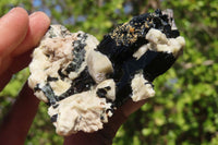 Natural Aegirine With Black Schorl Specimens x 6 From Zomba, Malawi