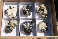 Natural Aegirine With Black Schorl Specimens x 6 From Zomba, Malawi