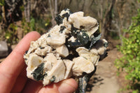 Natural Aegirine With Black Schorl Specimens x 6 From Zomba, Malawi