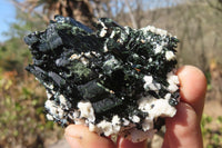 Natural Aegirine With Black Schorl Specimens x 6 From Zomba, Malawi