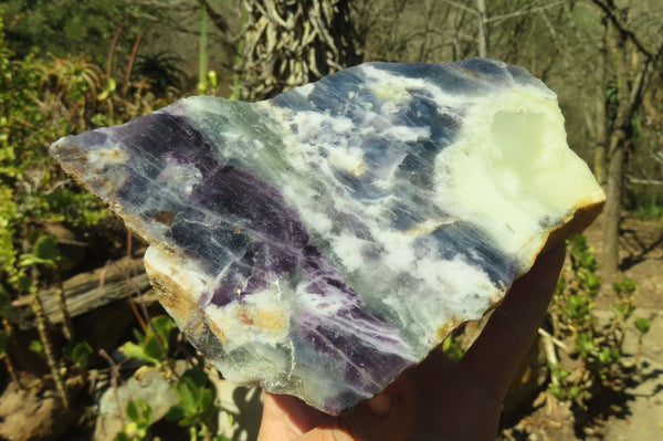 Polished On One Side Watermelon Fluorite Specimens x 2 From Uis, Namibia