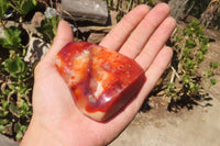 Polished Carnelian Standing Free Forms x 5 From Madagascar