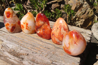 Polished Carnelian Standing Free Forms x 5 From Madagascar