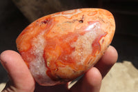 Polished Carnelian Standing Free Forms x 5 From Madagascar