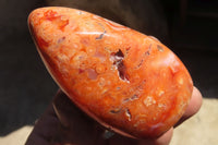 Polished Carnelian Standing Free Forms x 5 From Madagascar