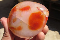 Polished Carnelian Standing Free Forms x 5 From Madagascar