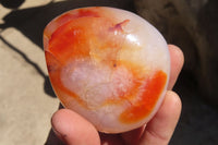 Polished Carnelian Standing Free Forms x 5 From Madagascar