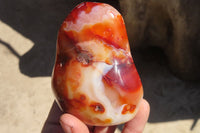 Polished Carnelian Standing Free Forms x 5 From Madagascar