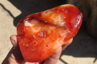 Polished Carnelian Standing Free Forms x 5 From Madagascar