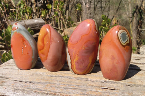 Polished Polychrome Jasper Standing Free Forms x 4 From Mahajanga, Madagascar