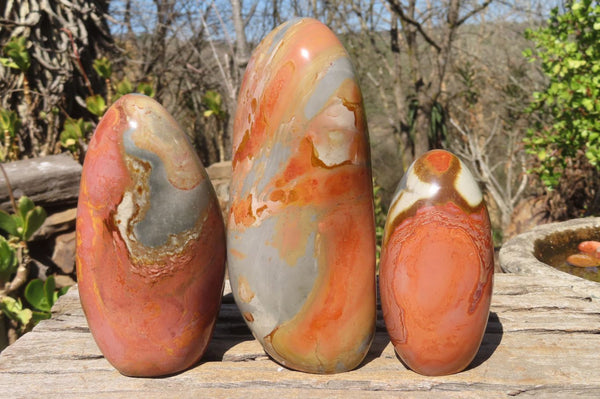 Polished Polychrome Jasper Standing Free Forms x 3 From Madagascar