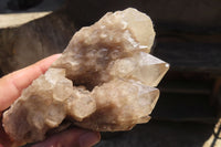 Natural Smokey Quartz Clusters x 2 From Luena, Congo