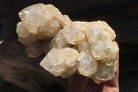 Natural Smokey Quartz Clusters x 2 From Luena, Congo