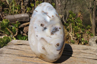 Polished Dendritic Agate Standing Free Form x 1 From Madagascar