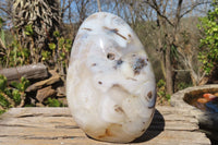 Polished Dendritic Agate Standing Free Form x 1 From Madagascar