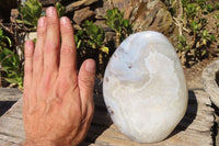 Polished Dendritic Agate Standing Free Form x 1 From Madagascar