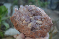 Natural Sugar Amethyst Clusters x 2 From Solwezi, Zambia