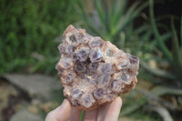 Natural Sugar Amethyst Clusters x 2 From Solwezi, Zambia