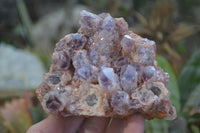 Natural Sugar Amethyst Clusters x 2 From Solwezi, Zambia