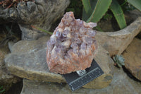 Natural Sugar Amethyst Clusters x 2 From Solwezi, Zambia