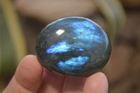 Polished Labradorite Galet / Palm Stones x 12 From Tulear, Madagascar