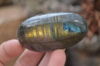 Polished Labradorite Galet / Palm Stones x 12 From Tulear, Madagascar