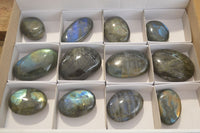 Polished Labradorite Galet / Palm Stones x 12 From Tulear, Madagascar