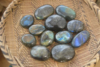 Polished Labradorite Galet / Palm Stones x 12 From Tulear, Madagascar