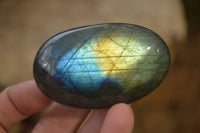 Polished Labradorite Galet / Palm Stones x 12 From Tulear, Madagascar