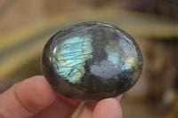 Polished Labradorite Galet / Palm Stones x 12 From Tulear, Madagascar