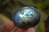 Polished Labradorite Galet / Palm Stones x 12 From Tulear, Madagascar