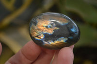 Polished Labradorite Galet / Palm Stones x 12 From Tulear, Madagascar